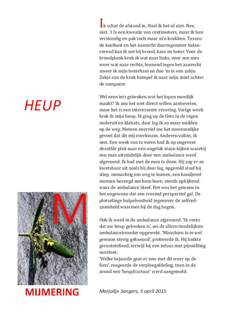 thumbnail of Mijmering 42 Heup 05-04-2015
