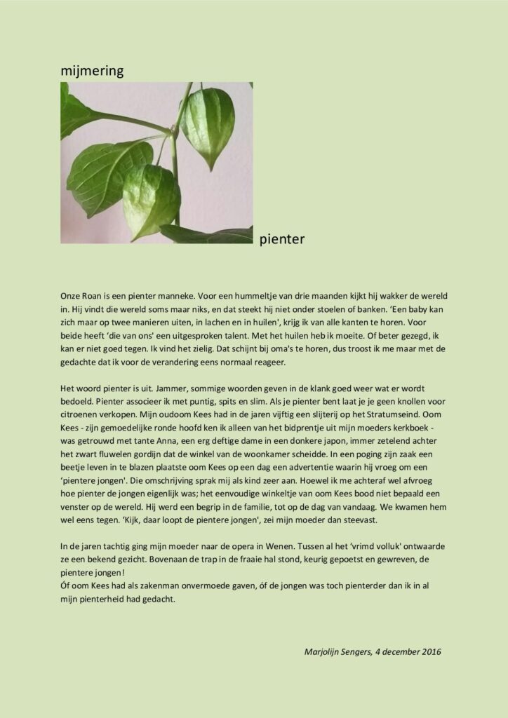 thumbnail of Mijmering 85 Pienter 04-12-2016