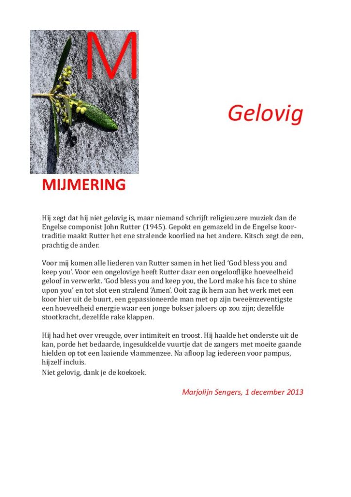 thumbnail of Mijmering 9 Gelovig 01-12-2013
