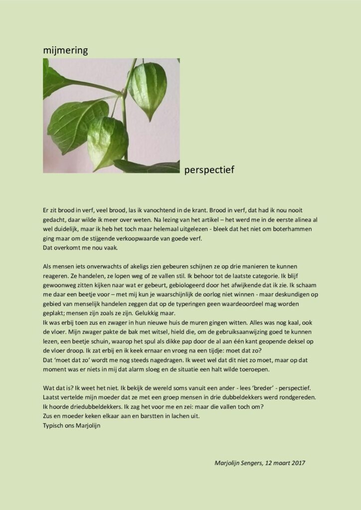 thumbnail of Mijmering 92 Perspectief 12-03-2017