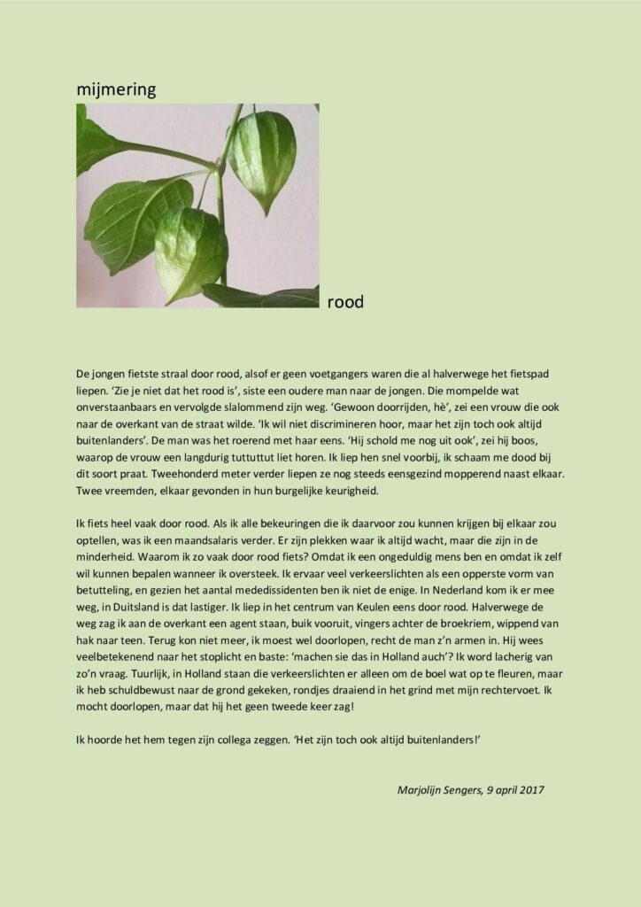 thumbnail of Mijmering 94 Rood 09-04-2017
